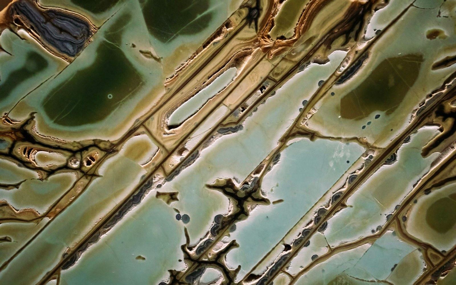 Close-up of polished agate showing curved bands of green, brown, and cream chalcedony
