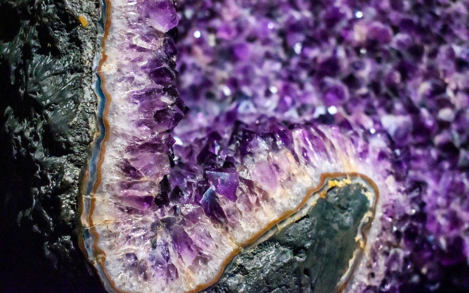 Close-up of jagged amethyst crystals lining the edge of a rock cavity