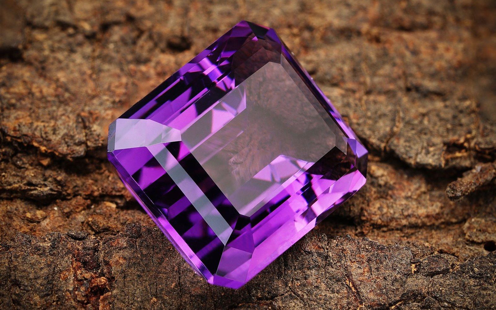 A faceted purple amethyst gemstone resting on textured tree bark