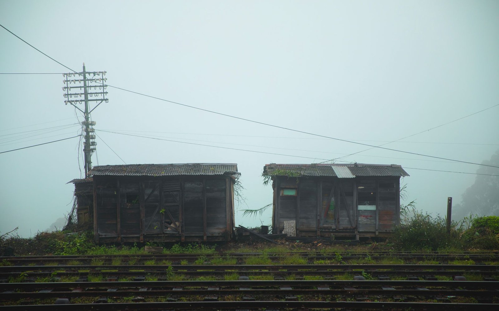 Two derelict wooden train carriages sit beside railway tracks in dense fog