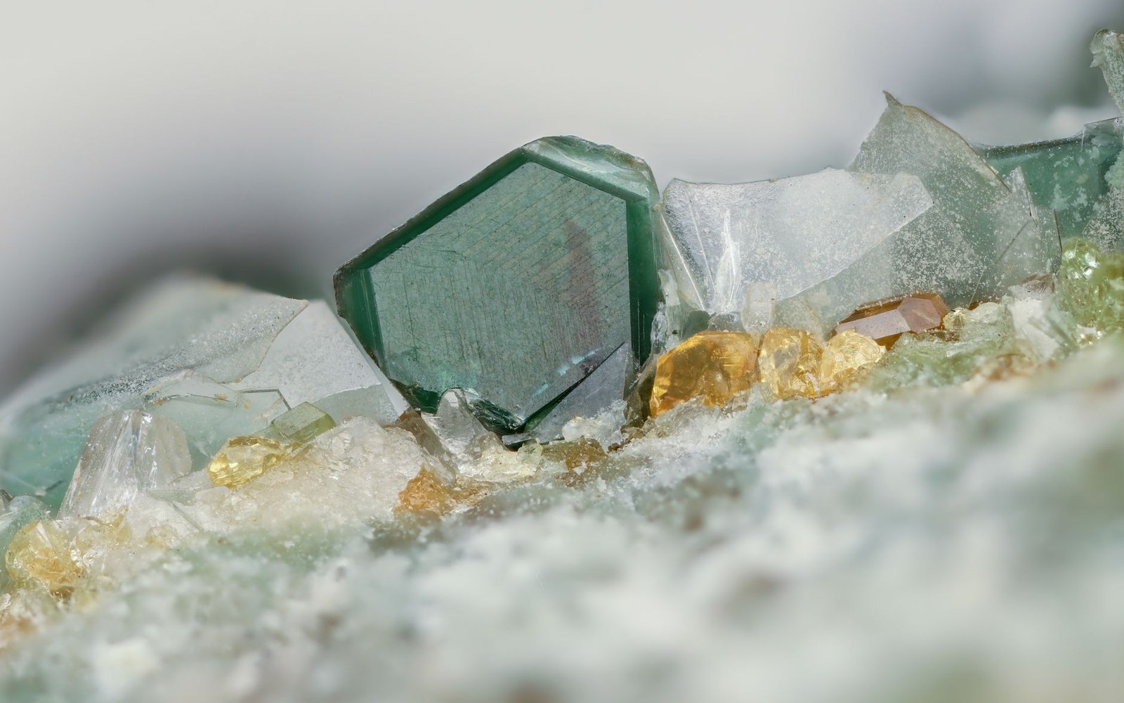 Hexagonal green emerald crystal amid translucent mica flakes and small golden mineral grains